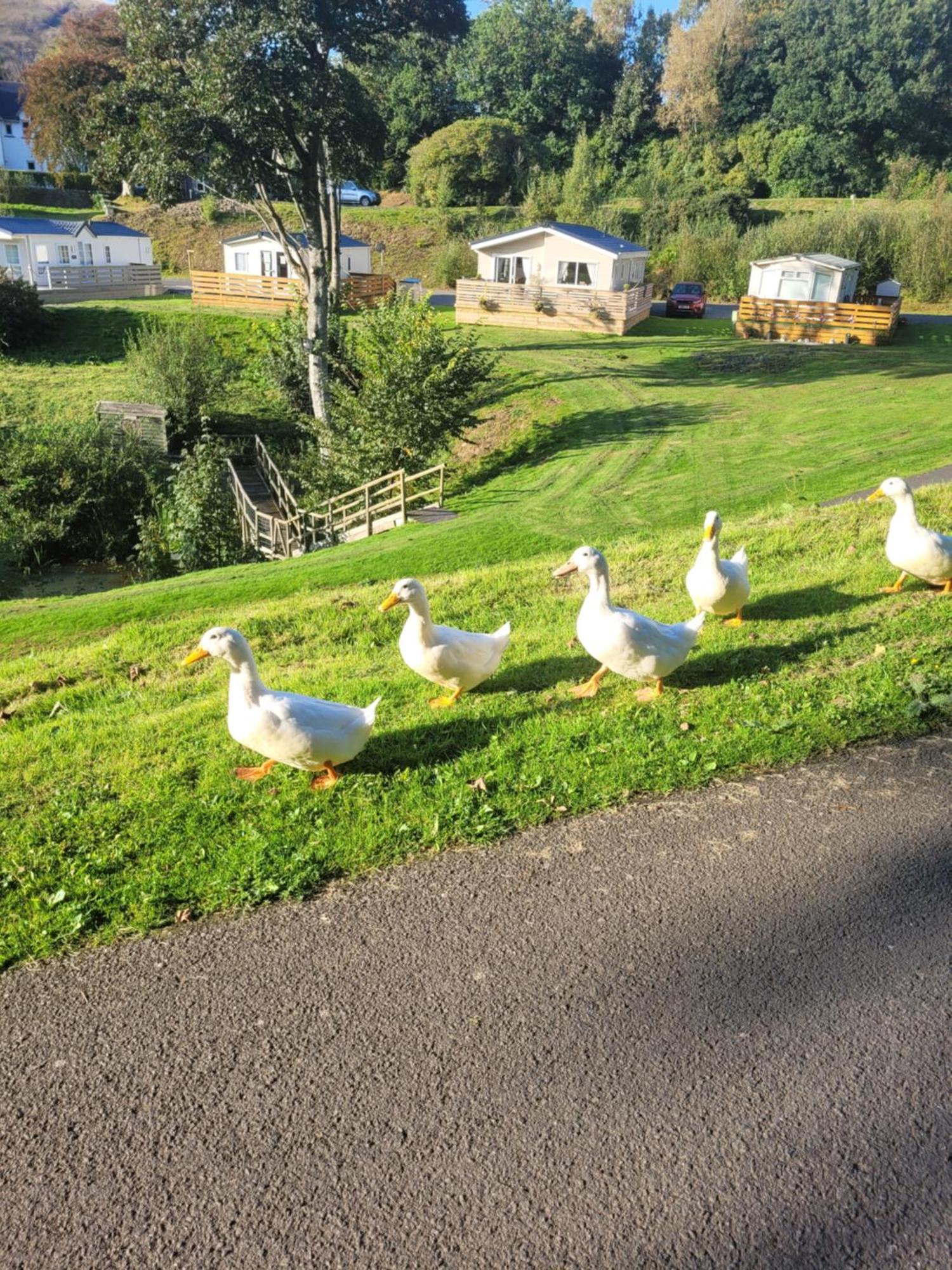The Sunny Bunny Holiday Home Ballantrae Luaran gambar