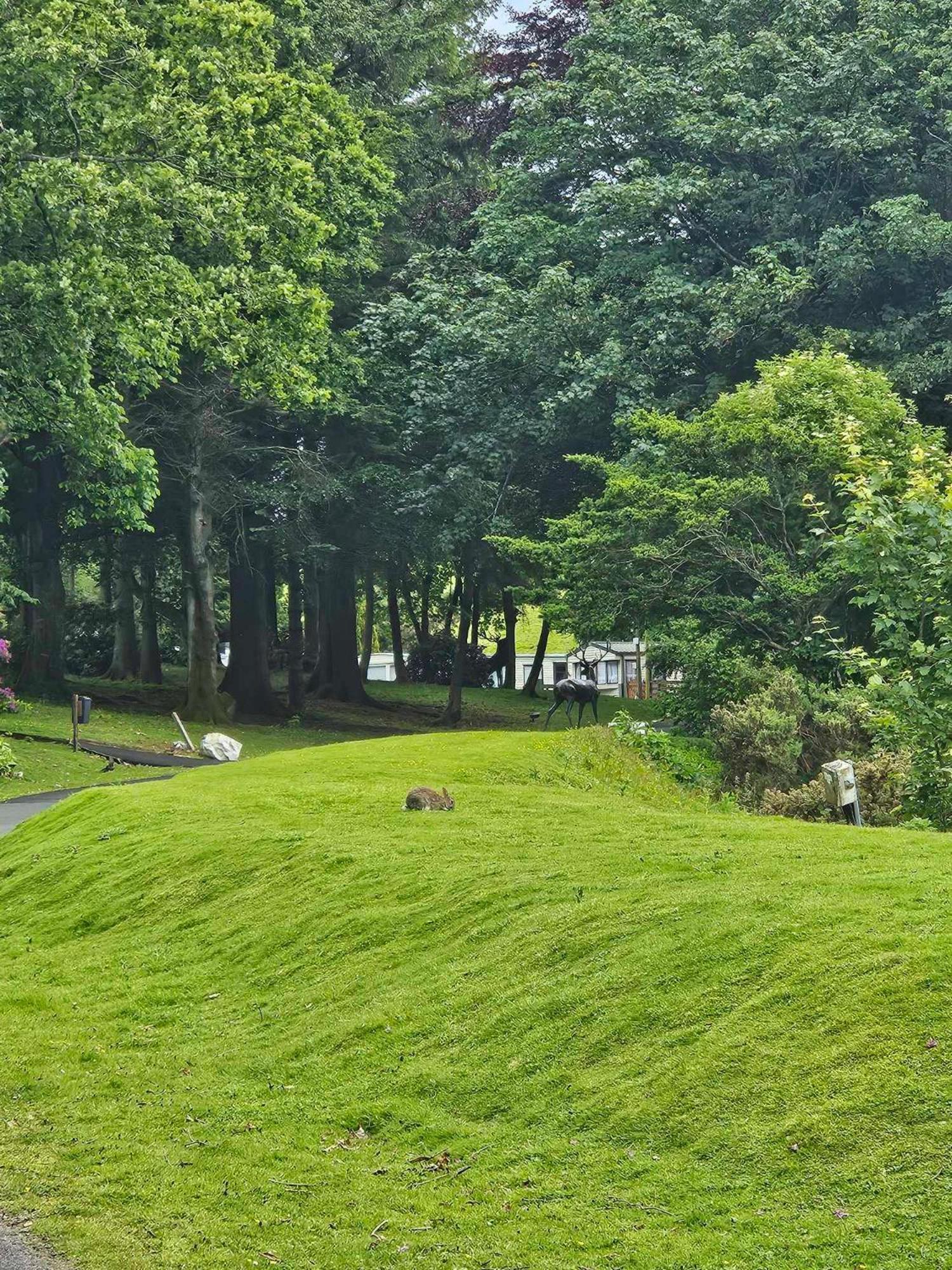 The Sunny Bunny Holiday Home Ballantrae Luaran gambar